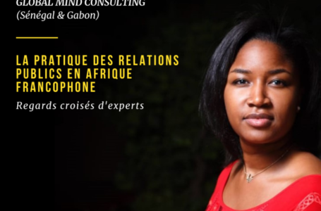 “La pratique des Relations Publics en Afrique Francophone : Regards croisés d’experts”