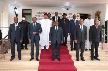 CEDEAO: les chefs d’États exigent le respect du processus démocratique d’accession au pouvoir au Mali
