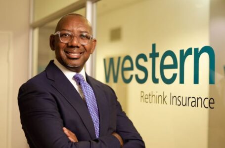 Botswana : Boikanyo Kgosidintsi prend les rênes de Western Life Insurance