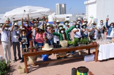 Green Day Attijariwafa bank: « initiation à l’agriculture urbaine » À l’occasion de la Journée mondiale de l’Environnement