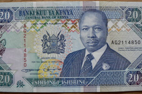 L’hebdo des devises de l’Afrique  pour cette semaine