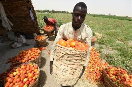 Le conflit Russie-Ukraine pourrait influer sur l’approvisionnement alimentaire de l’Afrique