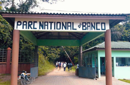 Journée Mondiale des Loisirs: le parc national du Banco en Côte d’ivoire sollicité