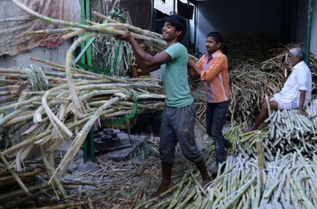 Sécurité alimentaire: l’Inde poursuit sa politique protectionniste sur le sucre
