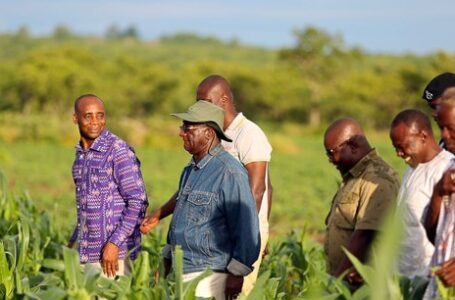 Au Ghana, l’émergence des millionnaires agricoles dans les savanes