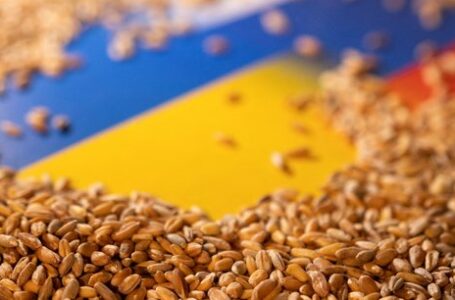 Pour les Etats-Unis, il est « crédible » que la Russie vole du blé à l’Ukraine pour le vendre