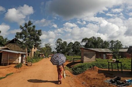 Le Congo met aux enchères des blocs énergétiques, déclenchant la colère de Greenpeace