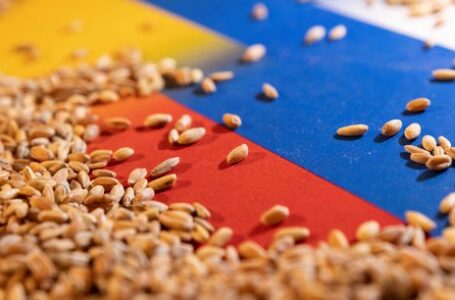 Ukraine : l’exportation de céréales reprend mais lentement