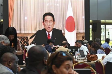 RH: le Japon a-t-il (vraiment) trouvé son facteur de différenciation en Afrique ?
