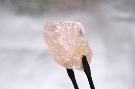 Mines : l’Angola met en vente 43 diamants spéciaux dont un diamant rose