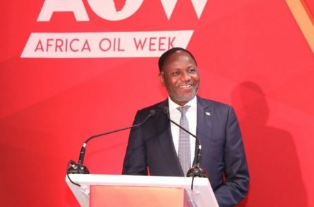 Pétrole et gaz: la Côte d’Ivoire présente ses capacités auprès des investisseurs à Cape Town