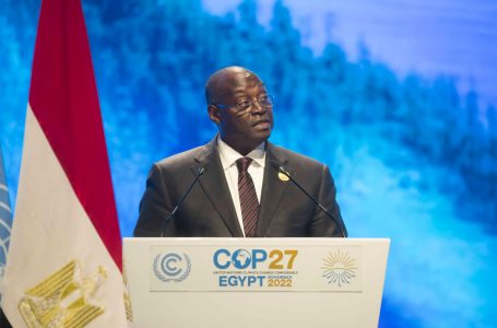 Le Vice-Président ivoirien a pris part au Sommet présidentiel de la COP 27, à Sharm El Sheikh