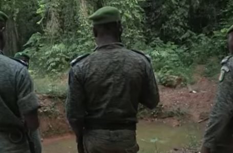 Lutte contre la déforestation : immersion nocturne avec les « commandos verts » de Côte d’Ivoire