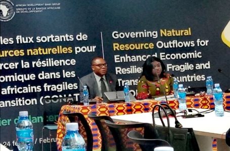 Gestion durable des Ressources naturelles: la BAD lance un projet pour six « pays fragiles » d’Afrique
