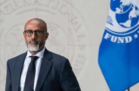 Abebe Selassie – FMI : « La communauté internationale doit soutenir les efforts de l’Afrique