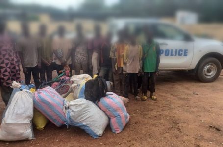 Traite des personnes:  La police ivoirienne intercepte 13 maliens dont 10 mineurs