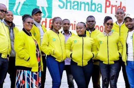 Au Kenya, la promesse agricole de Shamba Pride séduit les investisseurs