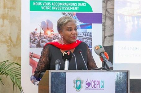 Côte d’Ivoire : le CEPICI a mobilisé 1000 milliards FCFA d’investissements privés agréés en 2023 (DG)