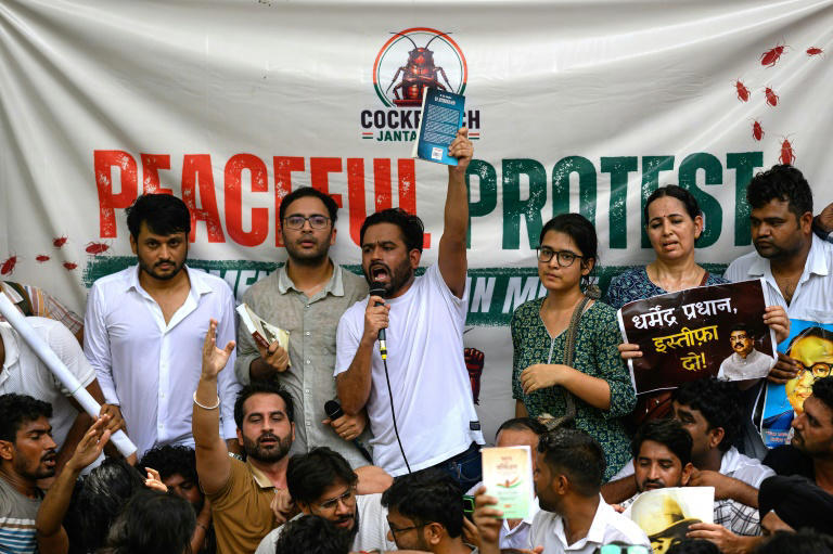 En Inde, des centaines de personnes réunies pour le premier rassemblement du « parti des cafards »