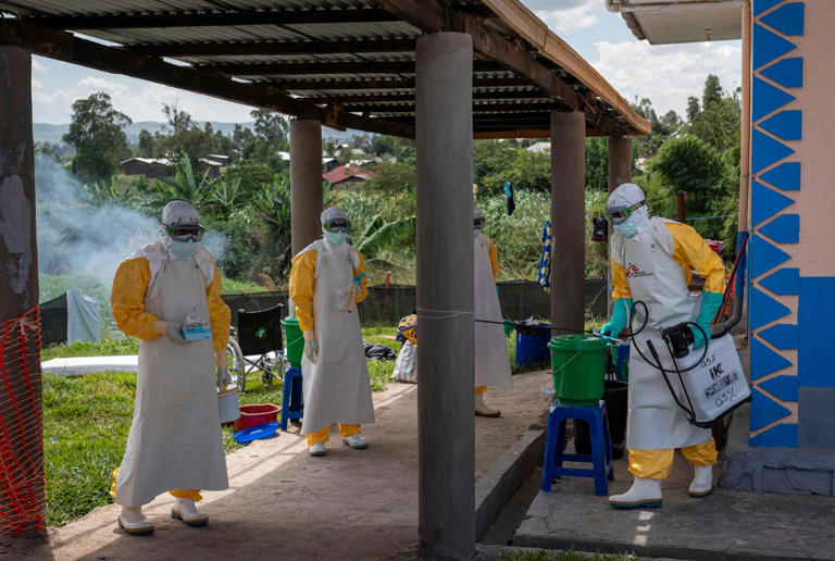 « L’épidémie progresse rapidement » : l’OMS annonce près de 500 cas d’infection au virus Ebola en Afrique centrale